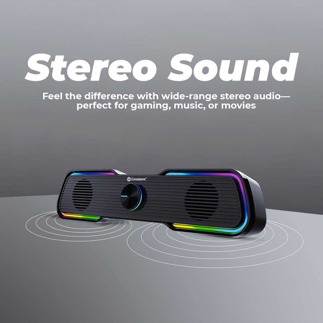 Consistent Speaker Desi Vibe USB (CTSUR206) - Image 3