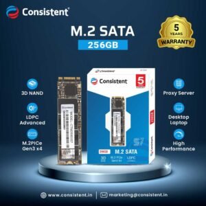 Consistent M.2 SSD 256GB (CTM25256S6)
