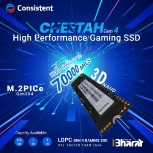 Consistent M.2 SSD 1TB (CTM2S001S6)